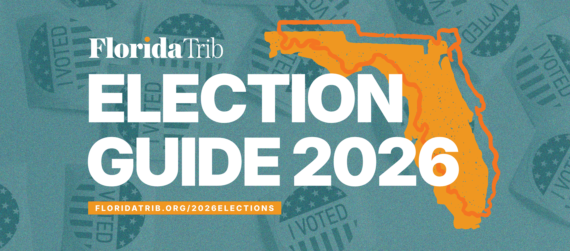 Election guide